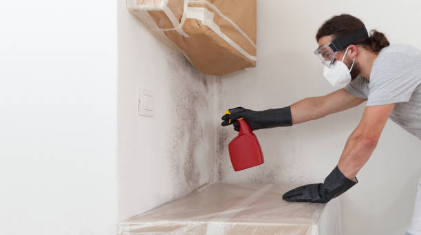 Professional Mold Testing technician working in Chester, VA