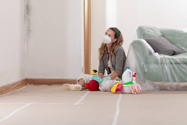Reliable Mold Testing contractor in Chester, VA by WQB Mold Removal